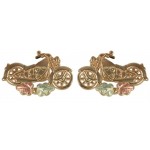 Motorcycle Earrings - by Coleman
